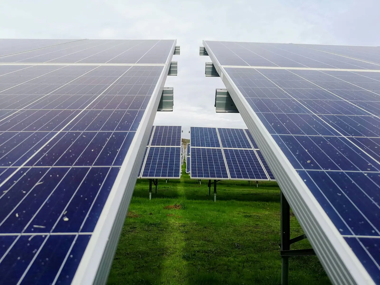 Campo de paneles solares bajo cielo nublado